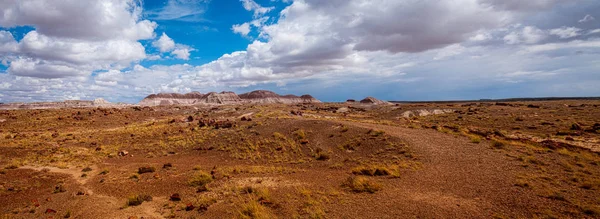 Um butte distante dá contraste com a Floresta Petrificada - Panoram — Fotografia de Stock