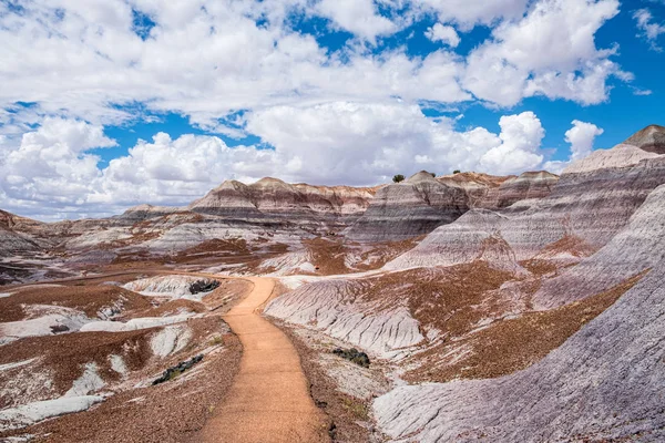 The main path of the Blue Mesa Trail leads the way through the c