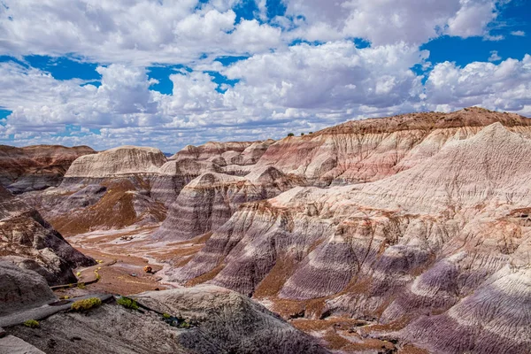 Scenic valley along the Blue Mesa Trail - Petrified Forest Natio — Stock Photo, Image