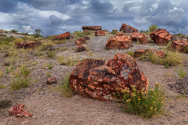 The Giant Logs Trail behind the visitor\'s center shows off its bounty of petrified wood against a stormy sky