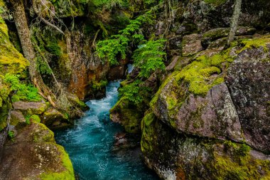 4811 _ Canlı mavi sular ve Buzul Ulusal Parkı 'ndaki Avalanche Deresi' nin renkli yaprakları