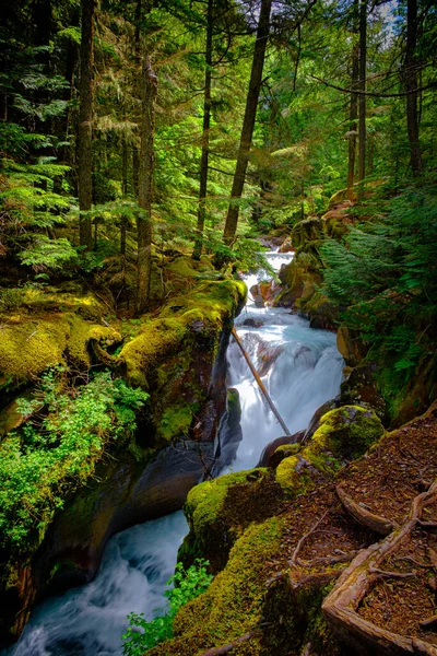 2324_Sunlit Banks Reveal Nature Beautiful Colors Avalanche Creek Glacier National — Stock Photo, Image