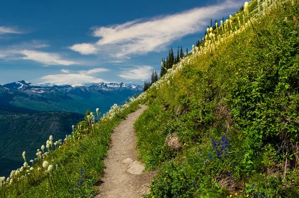 2446 Απομακρυσμένη Θέα Του Βουνού Peaks Glacier National Park Montana — Φωτογραφία Αρχείου