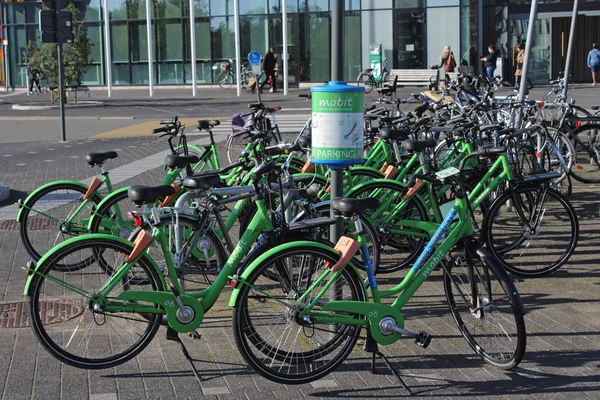 Aalst Bélgica Outubro 2019 Lugar Estacionamento Para Bicicletas Verdes Aluguel — Fotografia de Stock