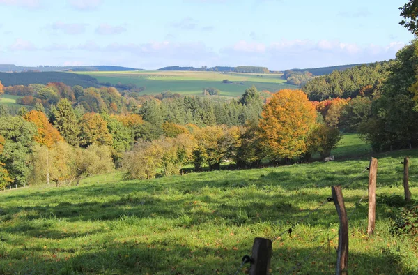Vackert Höstlandskap Belgiska Ardennerna Med Böljande Kullar Träd Och Gröna — Stockfoto