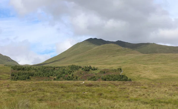 View Ben Lawers National Nature Reserve Edramucky Trail Clearly Showing — Stock Photo, Image