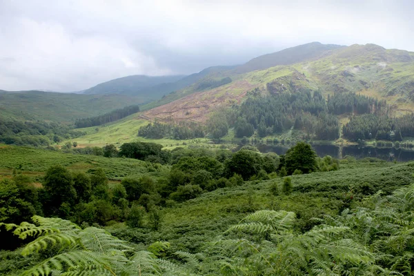 Exuberante Vegetación Vista Glen Trool Hacia Loch Trool Galloway Forest — Foto de Stock