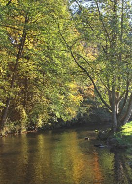 Güzel sonbahar renkleri Tenneville yakınlarındaki Belçika Ardennes 'deki Ourthe Nehri' ne yansıyor..