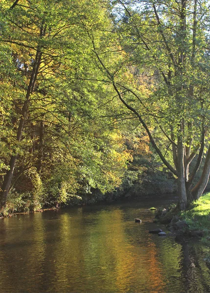 Beautiful Autumn Colours Reflected River Ourthe Belgian Ardennes Tenneville — Stock Photo, Image