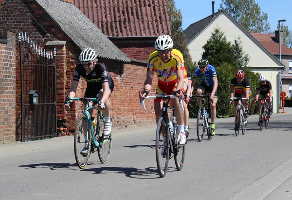 Aalst Belgio Maggio 2016 Piloti Dilettanti Senior Vari Club Ciclistici — Foto Stock