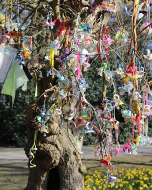 AALST, BELGIUM, 13 Mart 2016: Artık onlara ihtiyacı olmayan küçük çocukların geride bıraktığı özel bir emzik ağacında asılı duran emzikler.