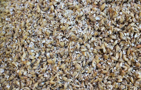 Imagem Close Milled Malted Barley Pronto Para Uso Processo Fabricação — Fotografia de Stock