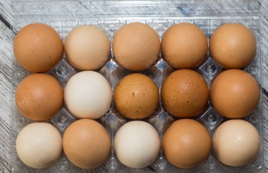 Hayvan maması ve tavuk yumurtası fotoğrafları.