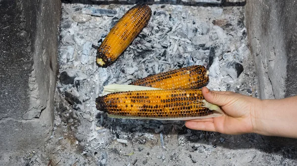 Jagung Segar Dimasak Dalam Foto Bara — Stok Foto