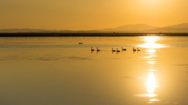 arkaplan için çeşitli gün batımı fotoğrafları