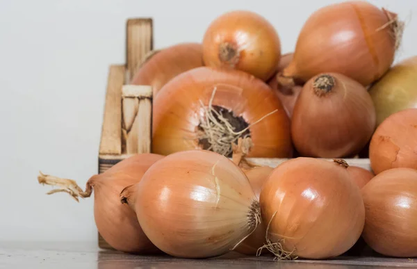 Fotos Verduras Frescas Cebollas — Foto de Stock