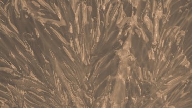 Fotoğraf arkaplanı için yüzey