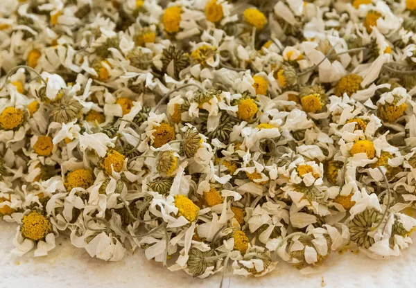 White Medicinal Chamomile Used Make Tea Drying — Stock Photo, Image
