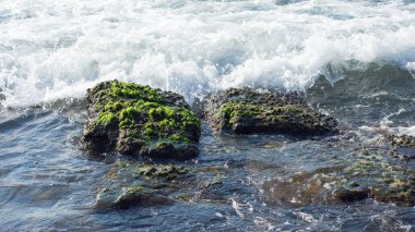 arkaplan için deniz ve dalga fotoğrafları