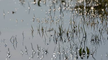 arkaplan için çeşitli desen fotoğrafları