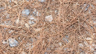 arkaplan için çeşitli desen fotoğrafları