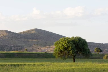 Kırsal alanların ve manzaraların fotoğrafları