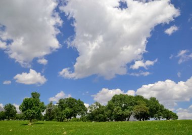 Kırsal alanların ve manzaraların fotoğrafları