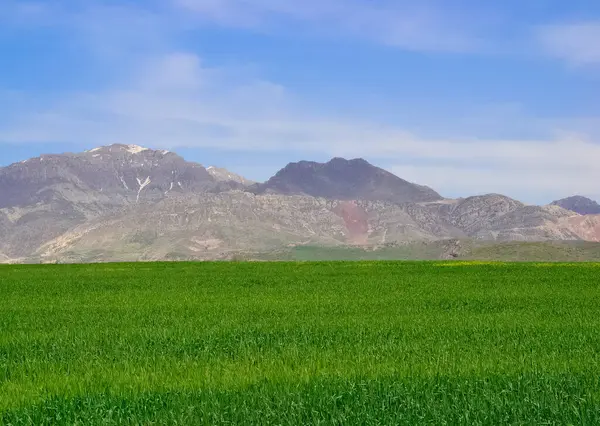 Fotos Zonas Rurales Paisajes — Foto de Stock