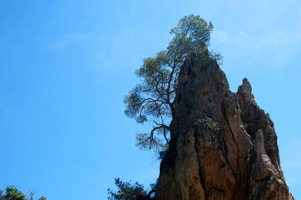 Rochers avec des arbres isolés dans le ciel bleu — Photo