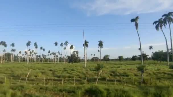 Vue Depuis Fenêtre Voiture Bus Paysage Cubain Vue Une Campagne — Video