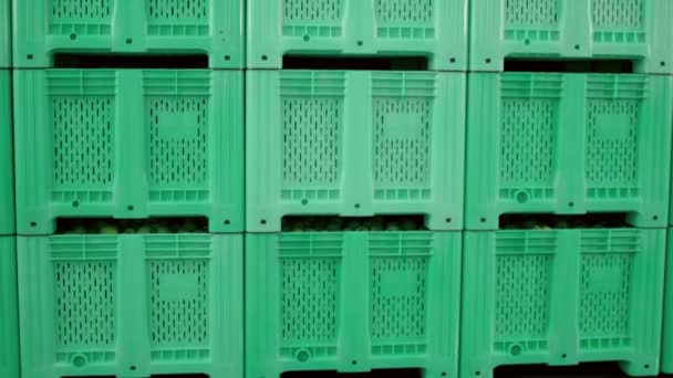 Lot green plastic fruit crates in the warehouse — Stock Video