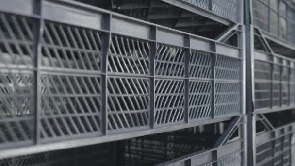 Beaucoup de boîtes en plastique noir sur le fruit de stockage de production 