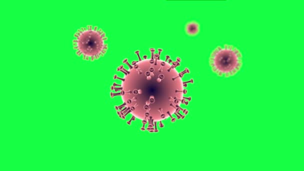 Coronavirus 3D model from Cinema 4D on green screen — Αρχείο Βίντεο