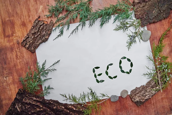 Das Wort Eco Besteht Aus Buchsbaumblättern Auf Weißem Hintergrund — Stockfoto