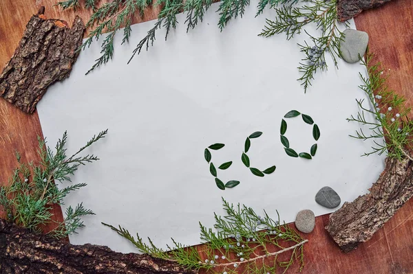 Ordet Eco Gjort Buxbom Blad Vit Bakgrund — Stockfoto