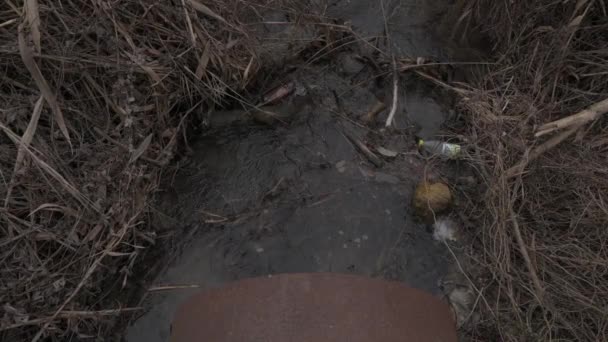 Eau Coule Tuyau Dans Forêt — Video