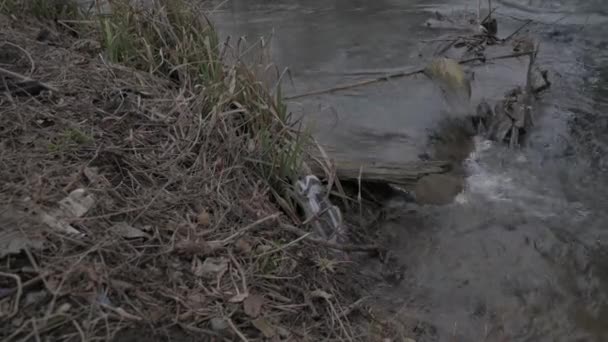 Eine Frau Sammelt Müll Und Legt Ihn Eine Schwarze Plastiktüte — Stockvideo