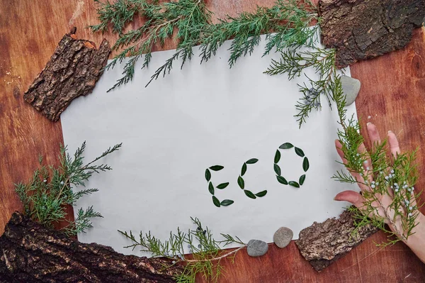 Eco Szó Fehér Hátterű Bokszfa Levelekből Készült Koncepció Ökológia Design — Stock Fotó