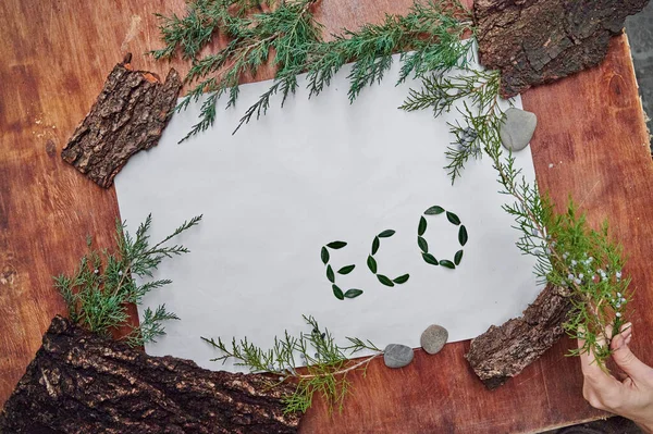 Ordet Eco Tillverkat Buxbomullsblad Vit Bakgrund Koncept Ekologi Design Ramar — Stockfoto