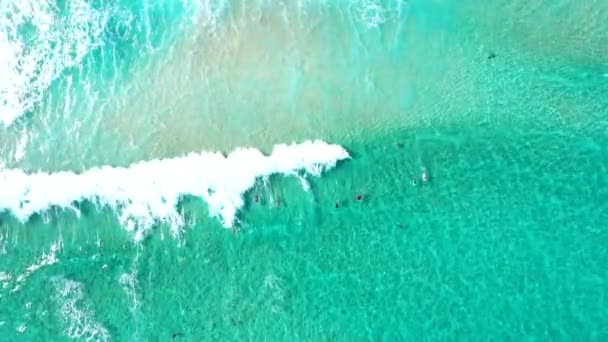 Aerial Still Top Down Vista sobre ondas com bodyboarders em oceano tropical claro — Vídeo de Stock
