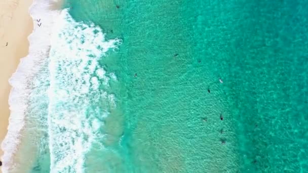 Letecký pohled shora dolů spouštění přes bodyboarders chytání vln na tropické pláži — Stock video