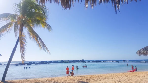 Una bella spiaggia in paradiso con una palma a Cuba — Foto Stock