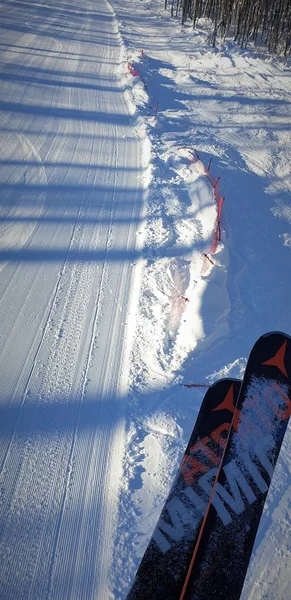 Alpin Skidåkning Och Skog Snön För Promenad — Stockfoto