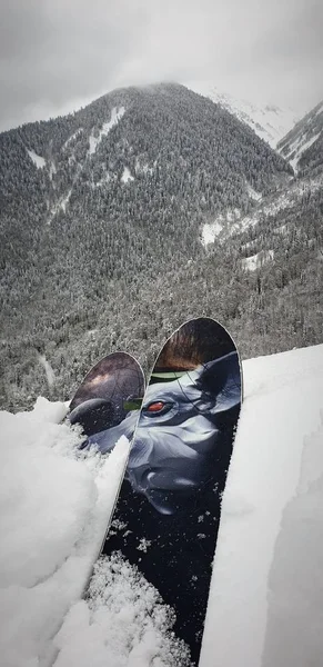 Sci Alpino Bosco Sulla Neve Una Passeggiata — Foto Stock