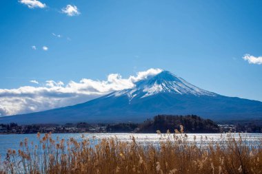 Japonya 'daki Kawakuchiko gölünde Fuji Dağı.