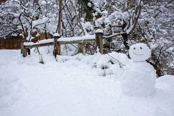 日本の雪が積もる世界遺産の白川郷 — ストック写真