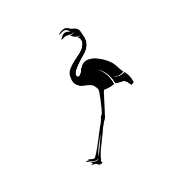 Flamingo tasarım vektörü, flamingo kuşunun siyah silueti, tek ayak üzerinde duruyor, izole edilmiş..