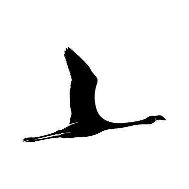 Flamingo tasarım vektörü, flamingo kuşunun siyah silueti, tek ayak üzerinde duruyor, izole edilmiş..