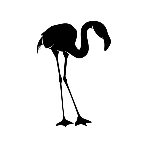 Flamingó design vektor, egy flamingó madár fekete sziluettje, egyik lábán áll, elszigetelt. — Stock Vector