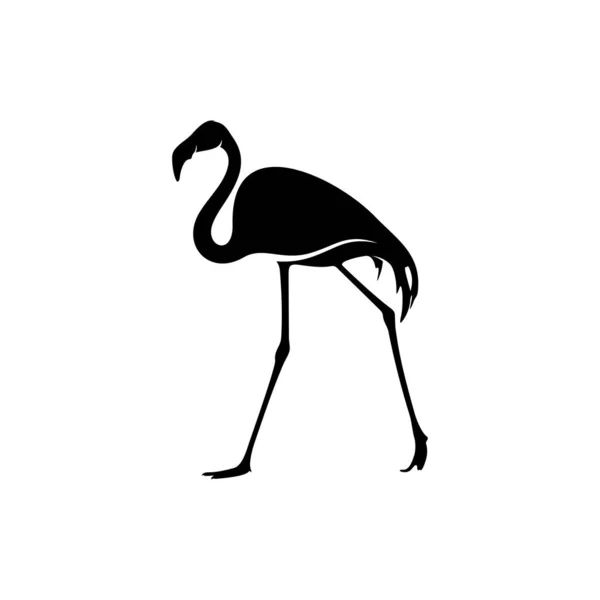 Flamingo design vector, Black silhouette of a flamingo bird, standing on one leg, isolated. — 스톡 벡터